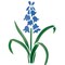 Bluebell Wall Stencil | 1308 by Designer Stencils | Floral Stencils | Reusable Art Craft Stencils for Painting on Walls, Canvas, Wood | Reusable Plastic Paint Stencil for Home Makeover | Easy to Use & Clean Art Stencil